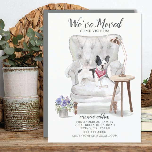 Cachorro Francês Que Mudamos O Anúncio Em Moviment (Criador carregado)