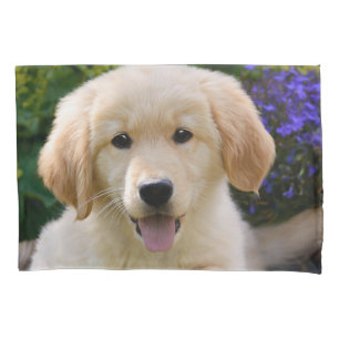 Cachorro Goldie Retriever Cachorro Cachorro Cachor
