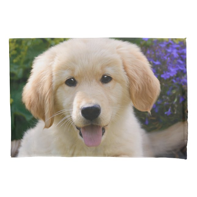 Cachorro Goldie Retriever Cachorro Cachorro Cachor (Frente)