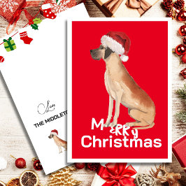 Cachorro Grande Dane Engraçado Chapéu de Natal de 