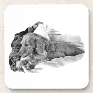 Cachorro Holandês Descansando – Porta-Copos Gráfi