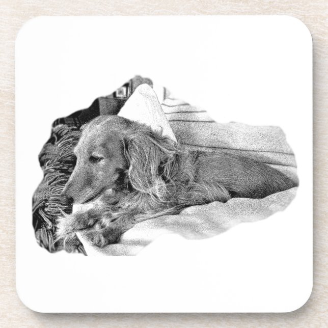 Cachorro Holandês Descansando –  Porta-Copos Gráfi (Frente)