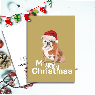 Cachorro inglês bonito em Santa Chapéu Feliz Natal