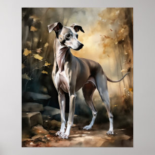Cachorro italiano Impressão Poster