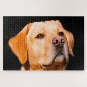 Cachorro Labrador. Quebra-cabeça