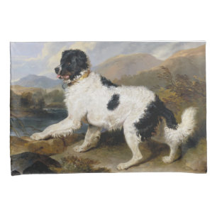 Cachorro Landseer Newfoundland (Black and White An