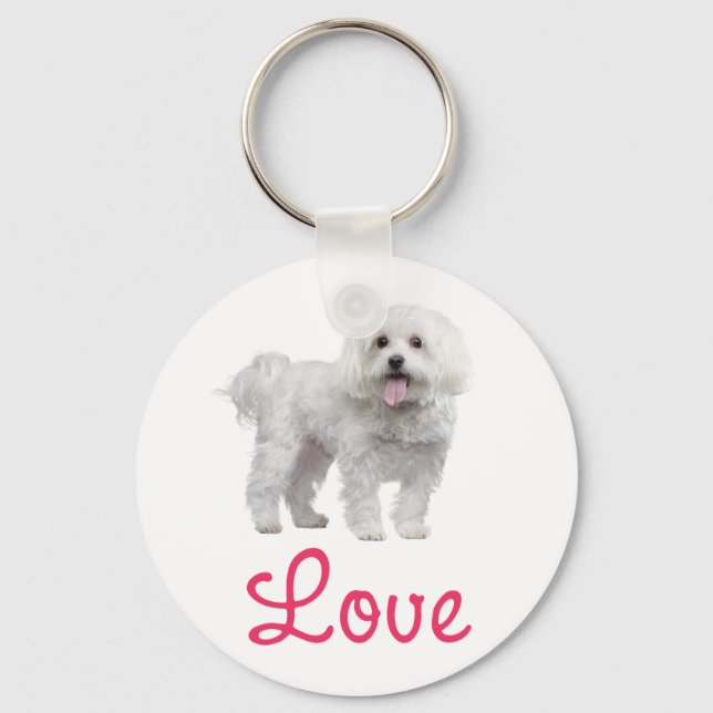 Cachorro Louco Branco Maltês Apaixonado Chaveiro (Frente)