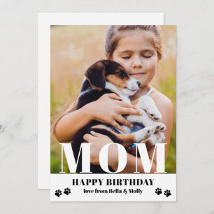 Cachorro Mãe Feliz Aniversário Moderno Foto Person