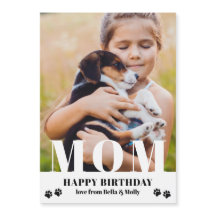 Cachorro Mãe Feliz Aniversário Moderno Foto Person