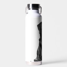 Cachorro Negro-Labrador Cachorro-Bonito