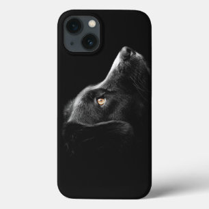 Cachorro Negro observando