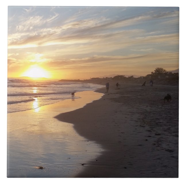 Cachorro no Azulejo Sunset California Dreaming (Frente)