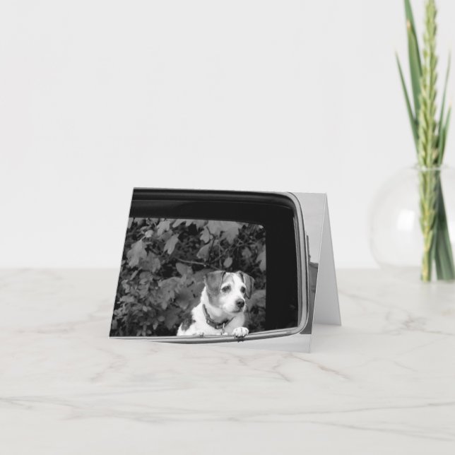 Cachorro no Cartão de Nota da Janela (Frente)