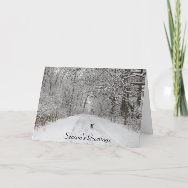 Cachorro no Cartão de Saudação da Estação de Rastr (Frente)