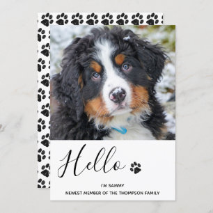 Cachorro Novo Anúncio de Pet