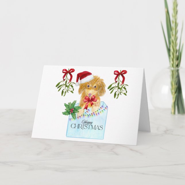 Cachorro num cartão de Natal de caixa azul (Frente)