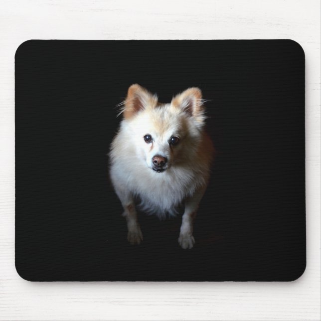 Cachorro Pomerano no Mousepad Negro (Frente)