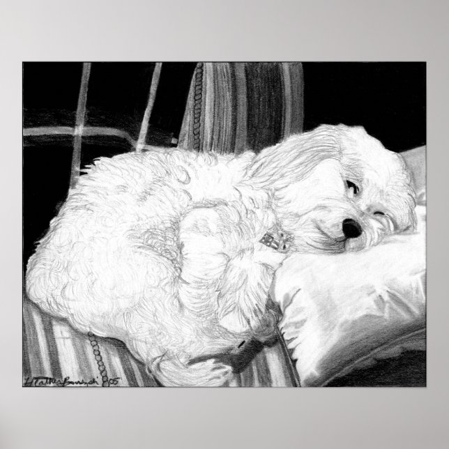 Cachorro Portraente Poster Impressão (Frente)