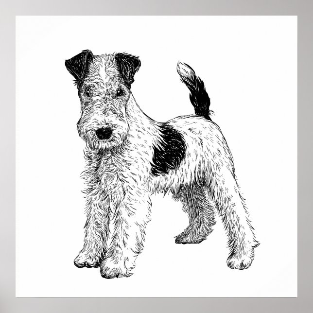 Cachorro Poster / Muralha Arte Fox Terrier (Frente)