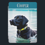 Cachorro Preto na Água<br><div class="desc">Esta design capa de ipad apresenta um belo gráfico de um cão Labrador preto na água. Faz um presente de excelente para o dono do laboratório ou para o amante do cão. Personalize com seu sobrenome. presente de excelente! Criado pela imprensa simplesmente de farmácia.</div>