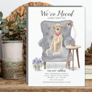 Cachorro retriever Labrador   Anúncio de Mudança