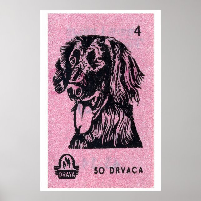 Cachorro rosa - Impressão Caixa de Fósforos - Arte (Frente)