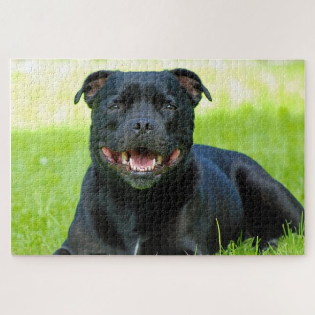 Cachorro Staffordshire Bull Terrier. Quebra-cabeça (Horizontal)