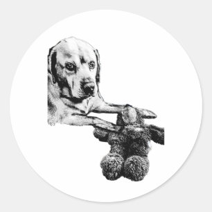 Cachorro & Teddy Adesivo Preto e Branco