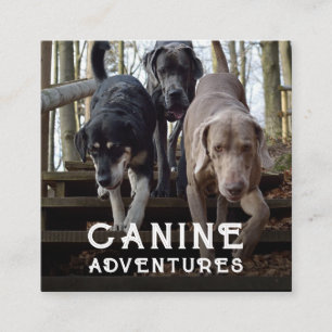 Cachorro Walker E Cachorro Aventura Cartão de visi