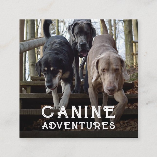 Cachorro Walker E Cachorro Aventura Cartão de visi (Frente)