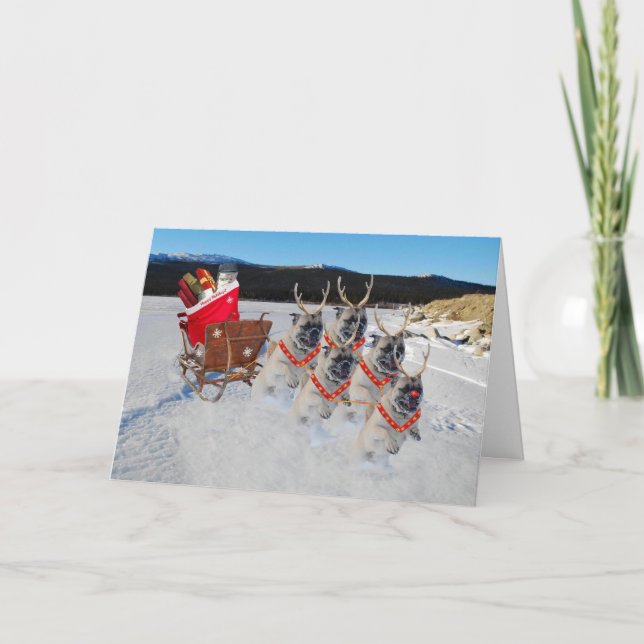 Cachorros de Natal puxando um cartão de festas de  (Frente)