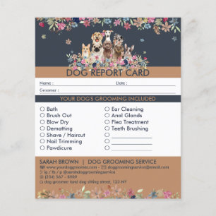 Cachorros marinhos sentados no relatório de embarq