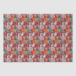 Cachorros Pequenos em Suores Quebrando Papel