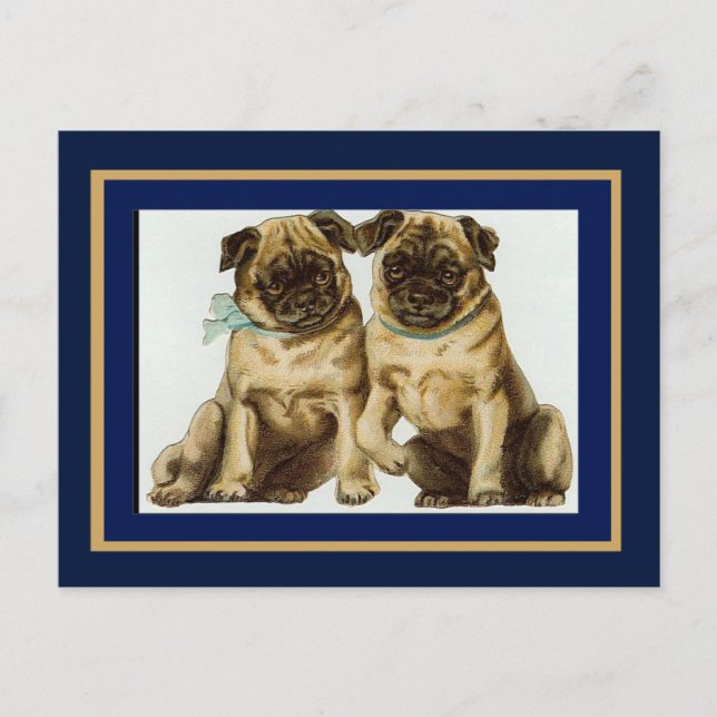 Cachorros Pug Vintage em Cartão Postal (Frente)