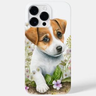 CACK RUSSELL TERRIER PUPPY CACK