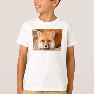 Caçoa o t-shirt que caracteriza o Fox vermelho