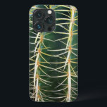 Cacto Da Esfera Verde Botânica<br><div class="desc">Bem verde,  bem afiado e perigoso. Mas é só uma foto! Foto de cacto de esfera,  faz seu dispositivo se destacar. e,  por um segundo,  hesite em agarrá-lo! Sinta o alivio quando não há dor envolvida,  afinal!</div>