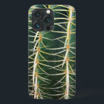 Cacto Da Esfera Verde Botânica<br><div class="desc">Bem verde, bem afiado e perigoso. Mas é só uma foto! Foto de cacto de esfera, faz seu dispositivo se destacar. e, por um segundo, hesite em agarrá-lo! Sinta o alivio quando não há dor envolvida, afinal!</div>