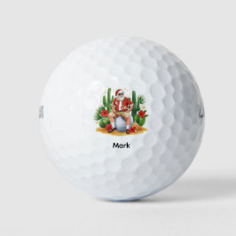 Cacto de Natal do ArizonaPapai Noel em bola de gol