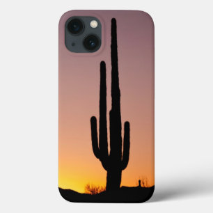 Cacto do Saguaro no por do sol
