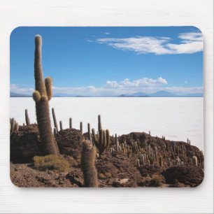 Cacto gigante no mousepad de Salar de Uyuni