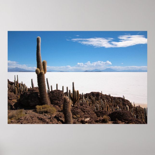 Cacto gigante no poster Salar de Uyuni impressão (Frente)