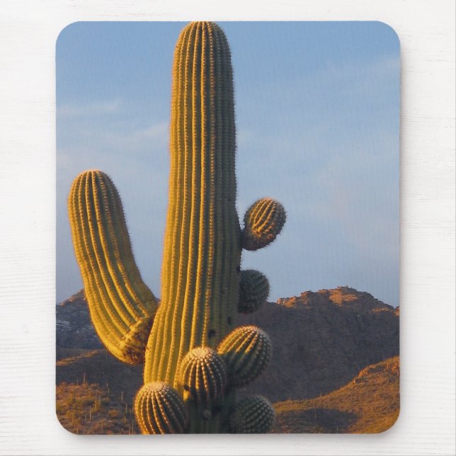 Cacto Saguaro Iluminado pelo Sol - Mousepad (Frente)