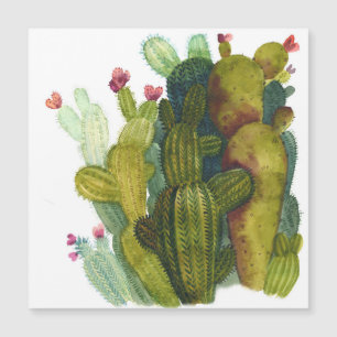 Cactos, suculentes: aquarela vintage.