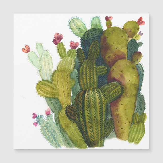 Cactos, suculentes: aquarela vintage. (Frente)