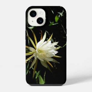 Cactus Bloom