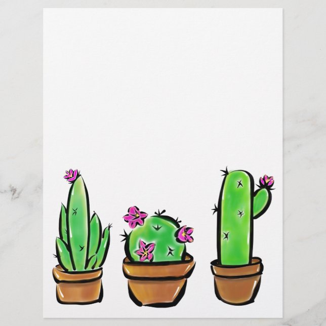 Cactus cactos, em flor rosa, suculentos (Frente)