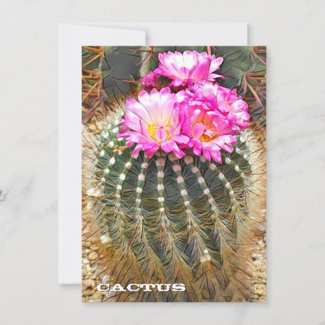 Cactus: Flat Card (Frente)