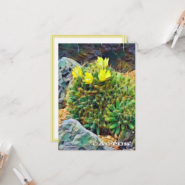 Cactus: Flat Card (Frente/Verso In Situ)