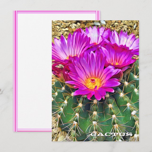 Cactus: Flat Card (Frente/Verso)